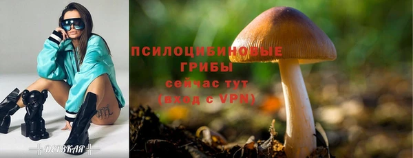 МДМА Щигры