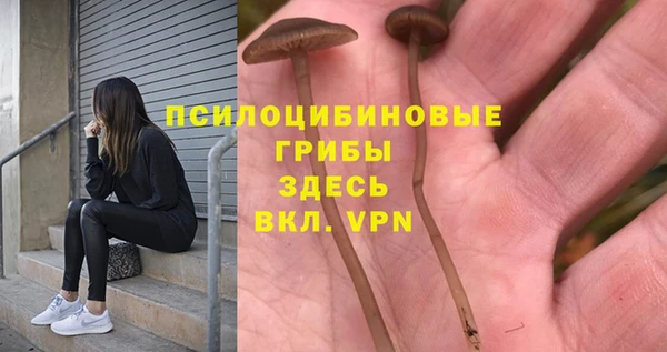 2c-b Михайловск