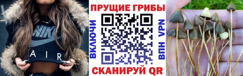 Галлюциногенные грибы GOLDEN TEACHER  Венёв 