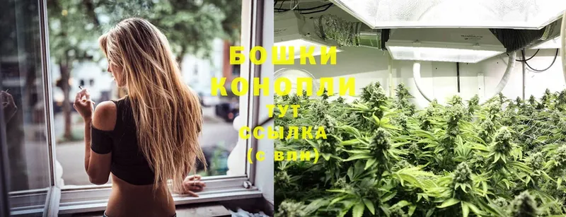 Конопля Ganja  omg рабочий сайт  Венёв 